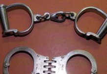 1.5 कोटींची फसवणूक केल्याप्रकरणी 76 जणांना सीईओ अटक