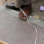 स्नायूंच्या नुकसानापासून ते चयापचयाच्या वाढीपर्यंत: फिटनेस आणि त्वचेचे आरोग्य पुन्हा परिभाषित करणारी एक नॉन-आक्रमक तंत्रज्ञान