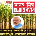 २०२६-२७ हंगामासाठी दर ३६५ रुपये निश्चित; शेतकऱ्यांना दिलासा :