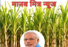 २०२६-२७ हंगामासाठी दर ३६५ रुपये निश्चित; शेतकऱ्यांना दिलासा :