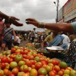 पुरवठा घटल्याने टोमॅटोचे भाव ३० टक्क्यांनी वाढले