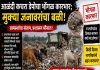 आळंदी कचरा डेपोचा भोंगळ कारभार; मुक्या जनावरांचा बळी, नागरिकांच्या आरोग्याशी खेळ सुरूच!