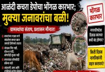 आळंदी कचरा डेपोचा भोंगळ कारभार; मुक्या जनावरांचा बळी, नागरिकांच्या आरोग्याशी खेळ सुरूच!